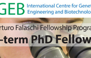 ICGEB Short-term PhD Fellowships in Biotechnology