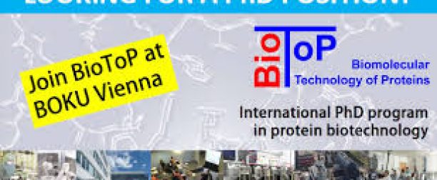 International PhD Programme in Protein Biotechnology at BOKU, Vienna