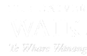 University of Waikato Research Masters Scholarship in Australia