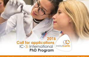Curie Institute International PhD Fellowship in Cancer Research
