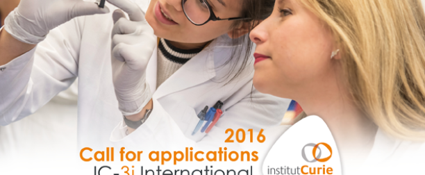 Curie Institute International PhD Fellowship in Cancer Research