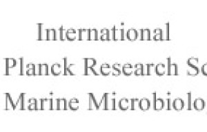 Masters and PhD scholarships at International Max Planck Research School of marine Microbiology