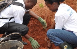 Congo Basin Biodiversity Grant for African Graduates