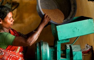 IDRC Doctoral Research Awards in Agriculture and Environment