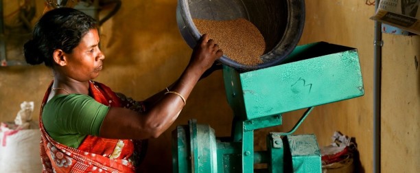 IDRC Doctoral Research Awards in Agriculture and Environment