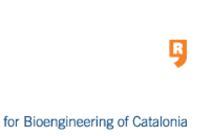 Postdoctoral Fellowships at IBEC, Spain