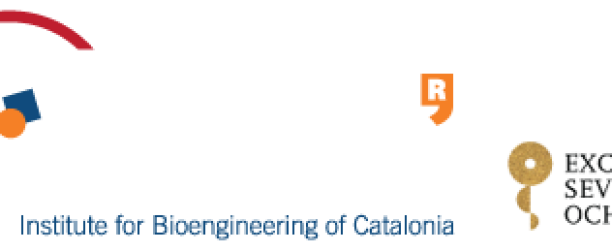 Postdoctoral Fellowships at IBEC, Spain