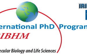 IRIBHM International PhD Scholarship in Life Sciences in Belgium