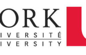 VISTA Postdoctoral Fellowships at University of York, Canada