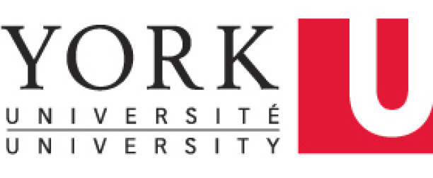 VISTA Postdoctoral Fellowships at University of York, Canada