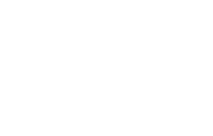 Italian Government Scholarship at University of Padova