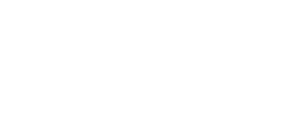 Italian Government Scholarship at University of Padova