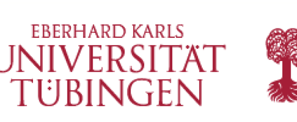 Teach@Tübingen Fellowship Program for International Researchers at University of Tubingen