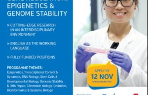 International PhD Fellowships at Institute of Molecular Biology, Germany