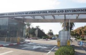 Master Scholarships in Agriculture at Hebrew University of Jerusalem, Israel