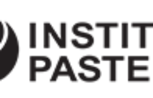 Doctoral Fellowships in Infectious Diseases at Institut pasteur, France