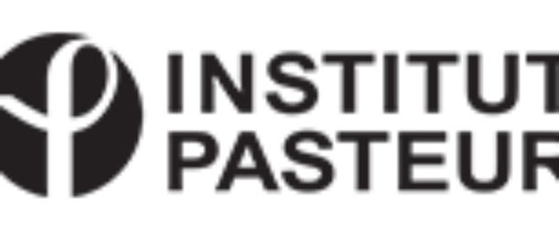 Doctoral Fellowships in Infectious Diseases at Institut pasteur, France